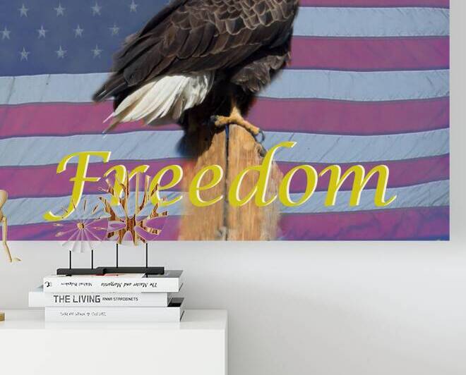 American Freedom by Bo Insogna