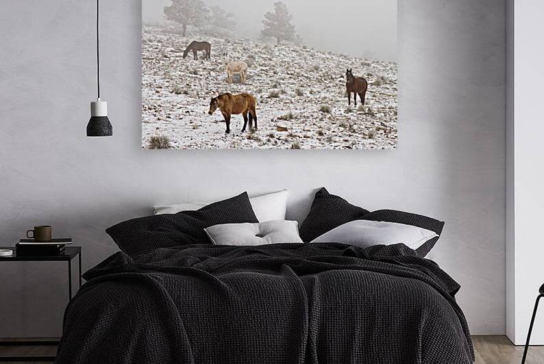 Rocky Mountain Horses Snow Fog by Bo Insogna