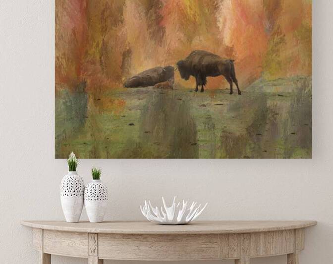 Young Buffalo Reproduction