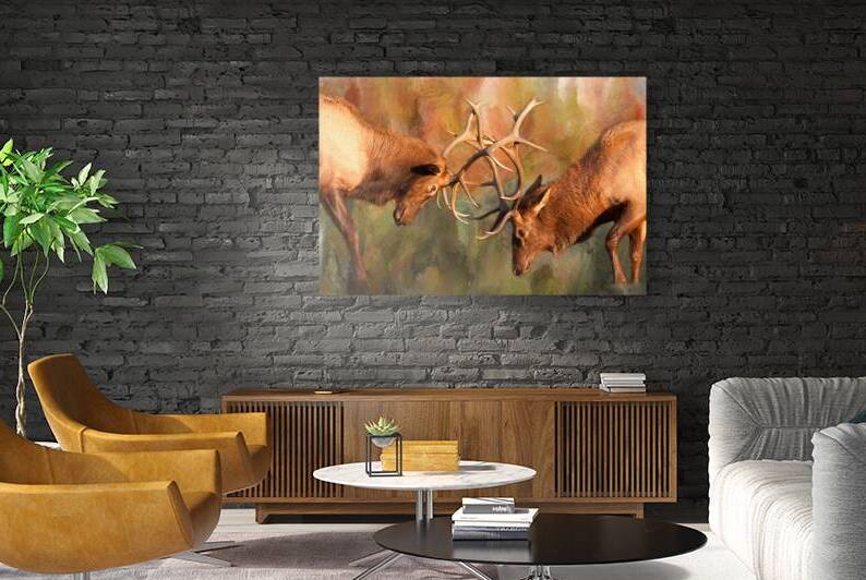 Bull Elk Sparring In The Mix by Bo Insogna