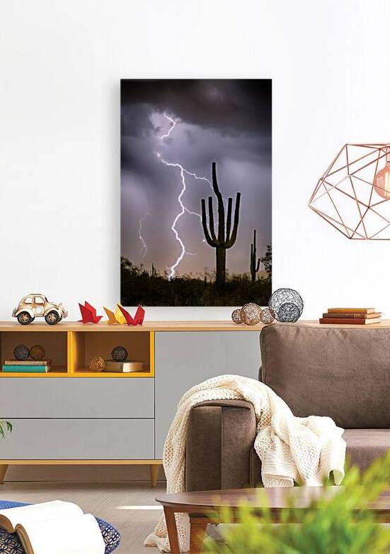 Sonoran Desert Monsoon Storming by Bo Insogna