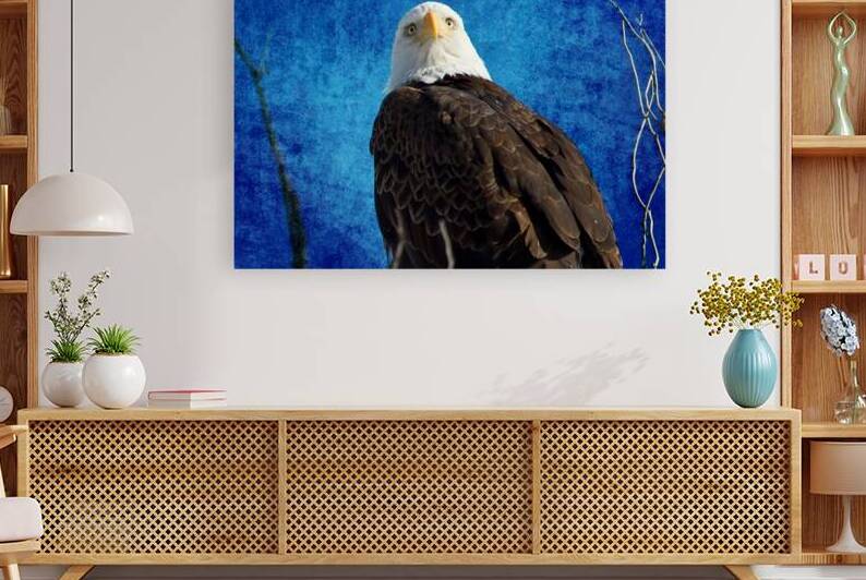 American Bald Eagle Blues by Bo Insogna