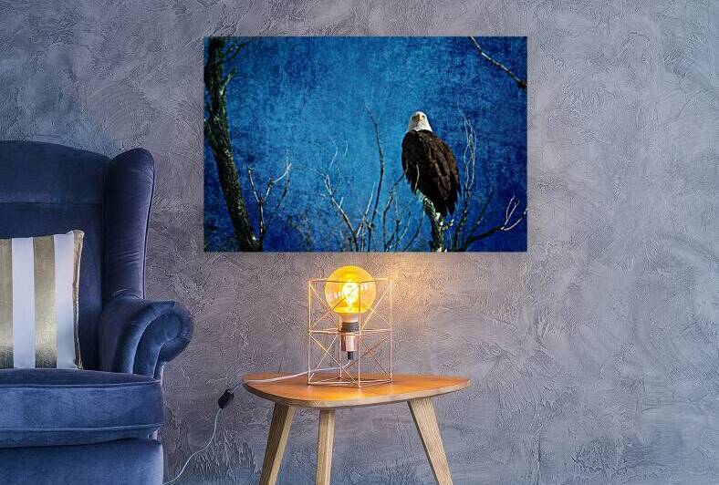 Bald Eagle Blues Into Night by Bo Insogna