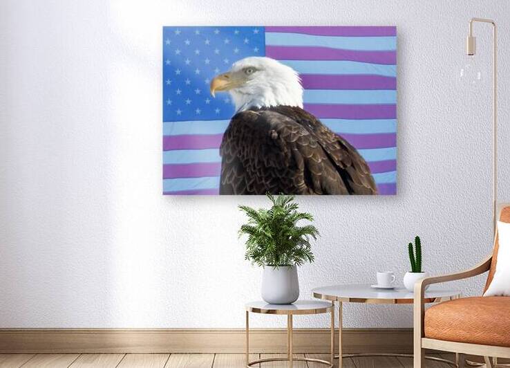 American Eagle 2 by Bo Insogna