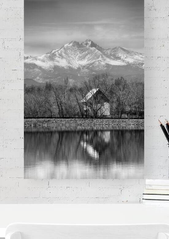 St Vrain Ponds Longs Peak View In Black and White by Bo Insogna