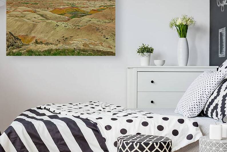 Discover the Vibrant Beauty and Rich Fossils of Badlands Nationa by Bo Insogna