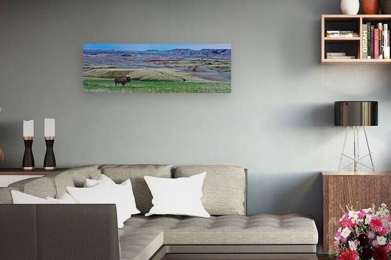 The Majestic Bison -  Roaming the Colorful Badlands of SD by Bo Insogna