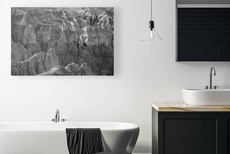 Monochrome Mystique Intricate Enigmatic Maze of Badlands Canyons by Bo Insogna
