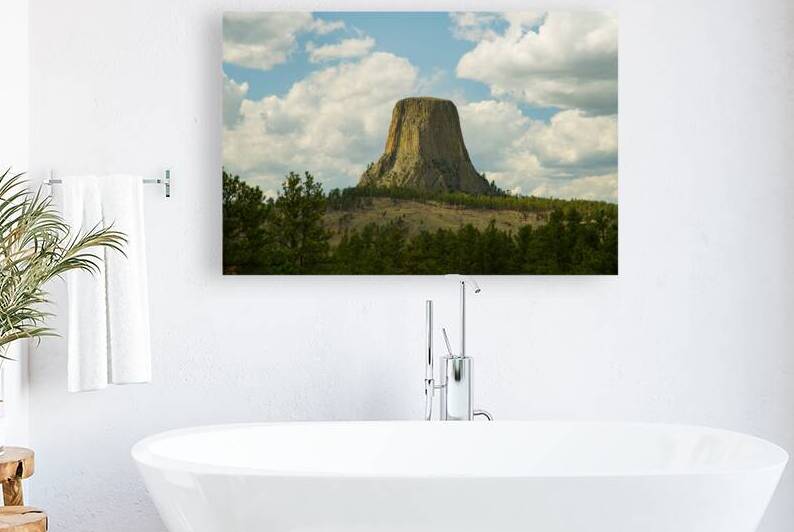 Majestic Devils Tower in Wyoming Amidst Pine Forest by Bo Insogna