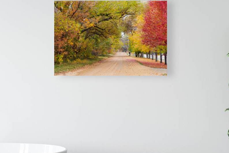 Autumns Country Retreat - A Canopy of Color by Bo Insogna