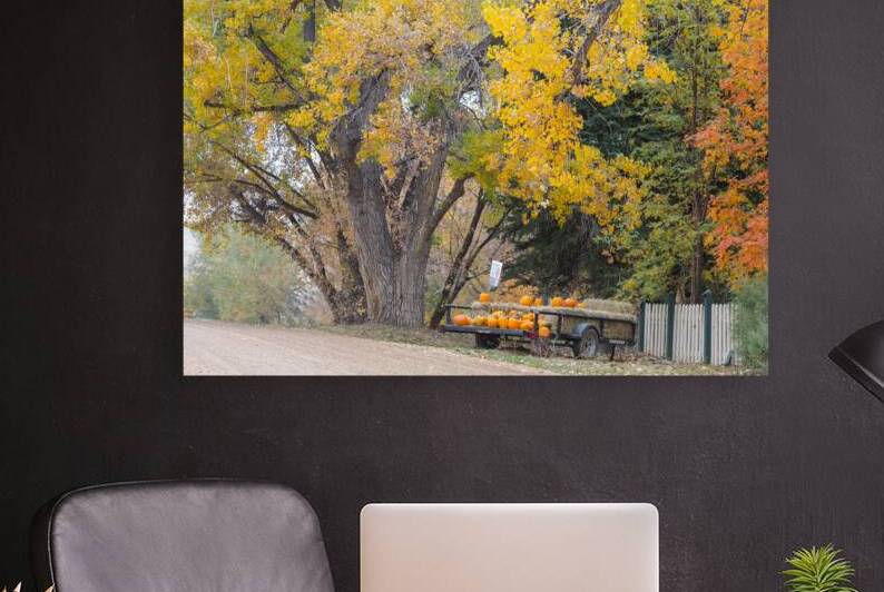 Autumns Bounty - A Country Road Market by Bo Insogna