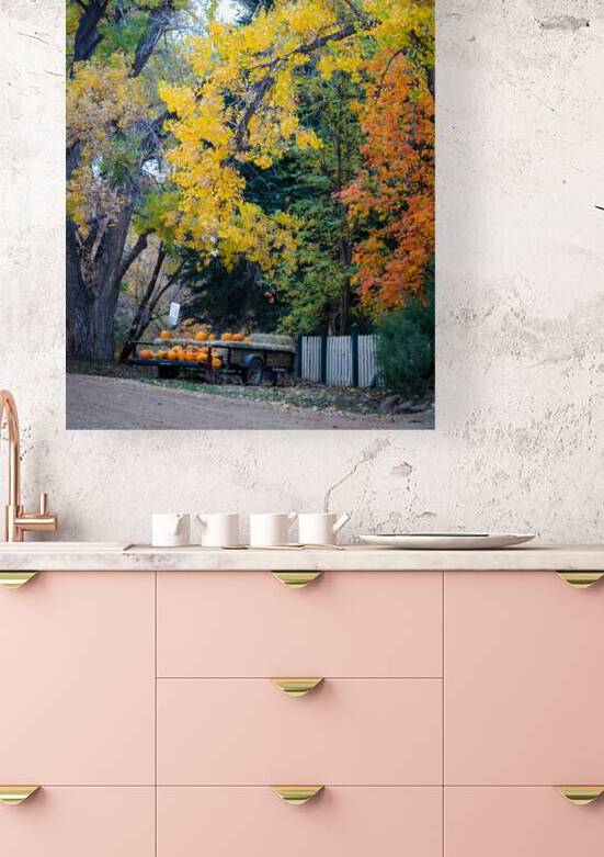 Autumns Harvest Market - A Portrait of Country Charm by Bo Insogna