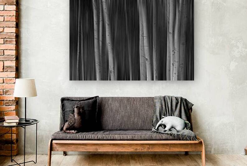 Aspen Trees Dreaming Black and White Abstract by Bo Insogna