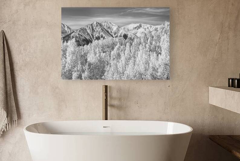 Colorado Rocky Mountain Autumn Beauty Black and White by Bo Insogna