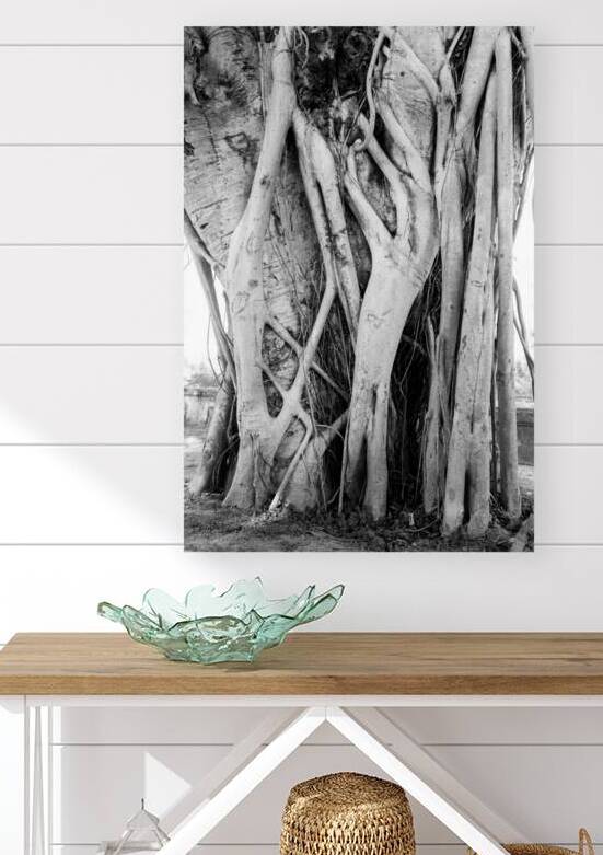 Tropical Tree Vibes by Bo Insogna