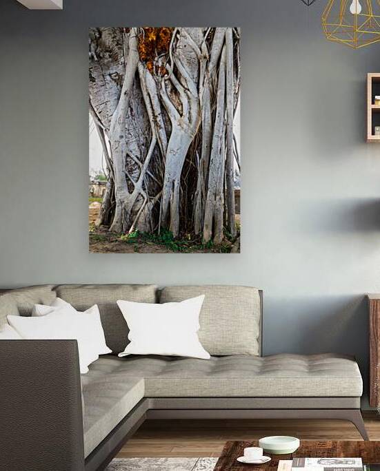 Magnificent and Colossal Intertwined Tree by Bo Insogna