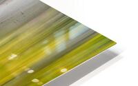 Golden Aspen Abstraction Fine Art Landscape Impression metal HD
