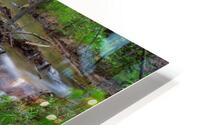 Creek Crossing Forest Woods HD Metal print