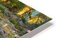 Golden Fishing Stream HD Metal print