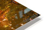Autumns Radiant Canopy -  A Skyward View HD Metal print