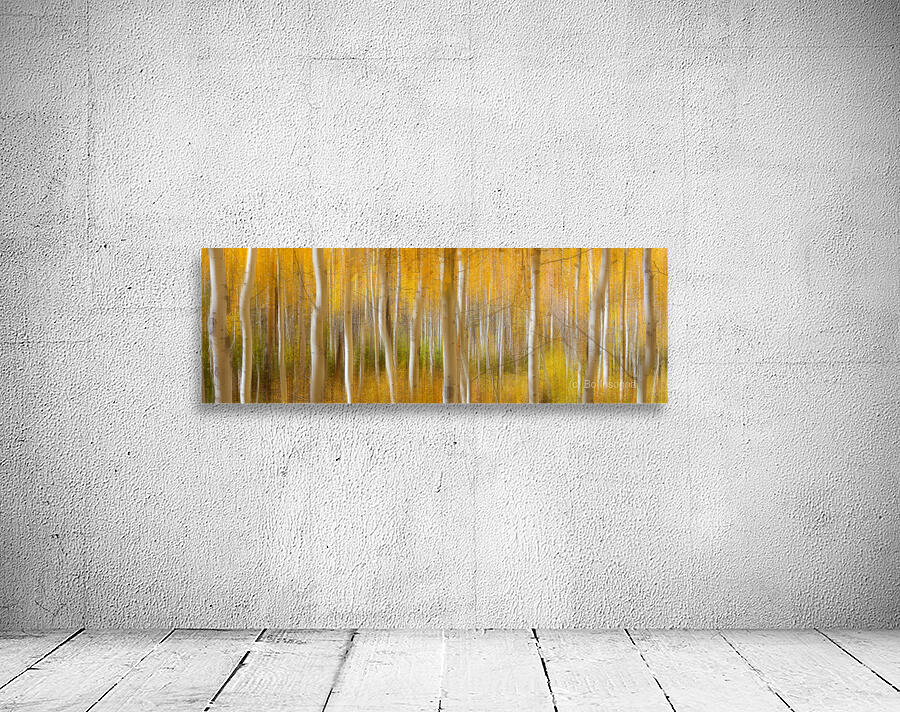 Golden Forest Moment Abstract Panorama Wall Preview
