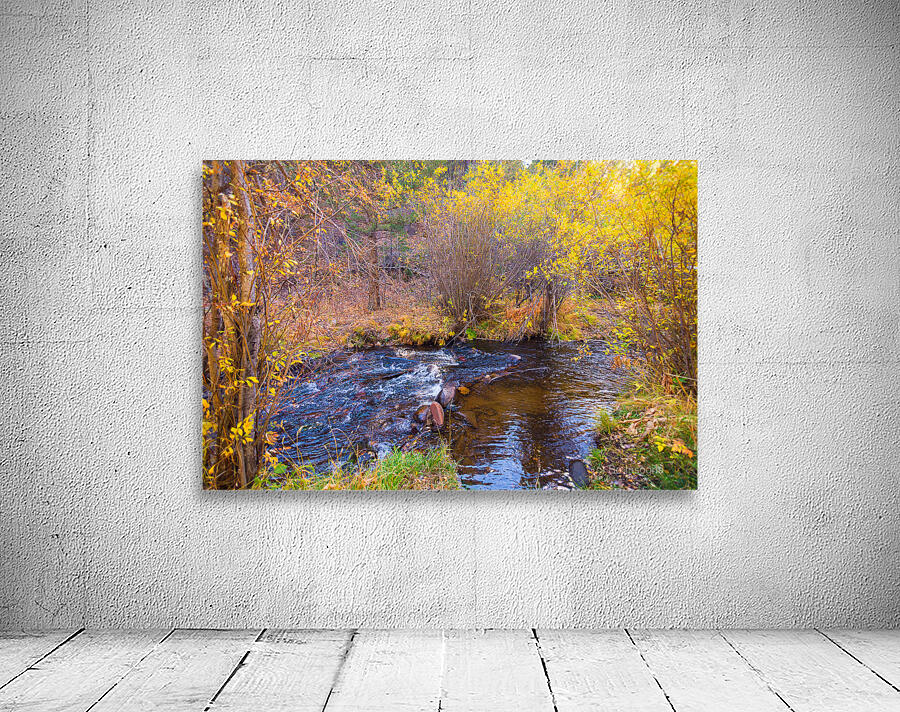 Golden Autumn Creek – Serene Fall Foliage Nature Photography Wall Preview