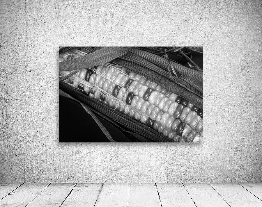 Indian Corn Black and White Wall Preview