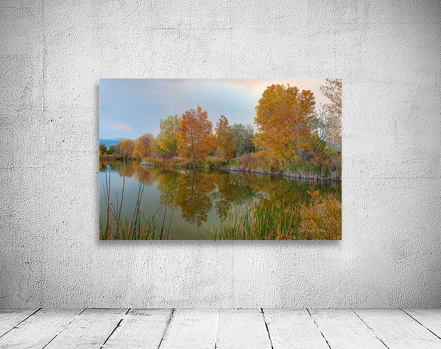 Just Another Beautiful Autumn Reflection Wall Preview