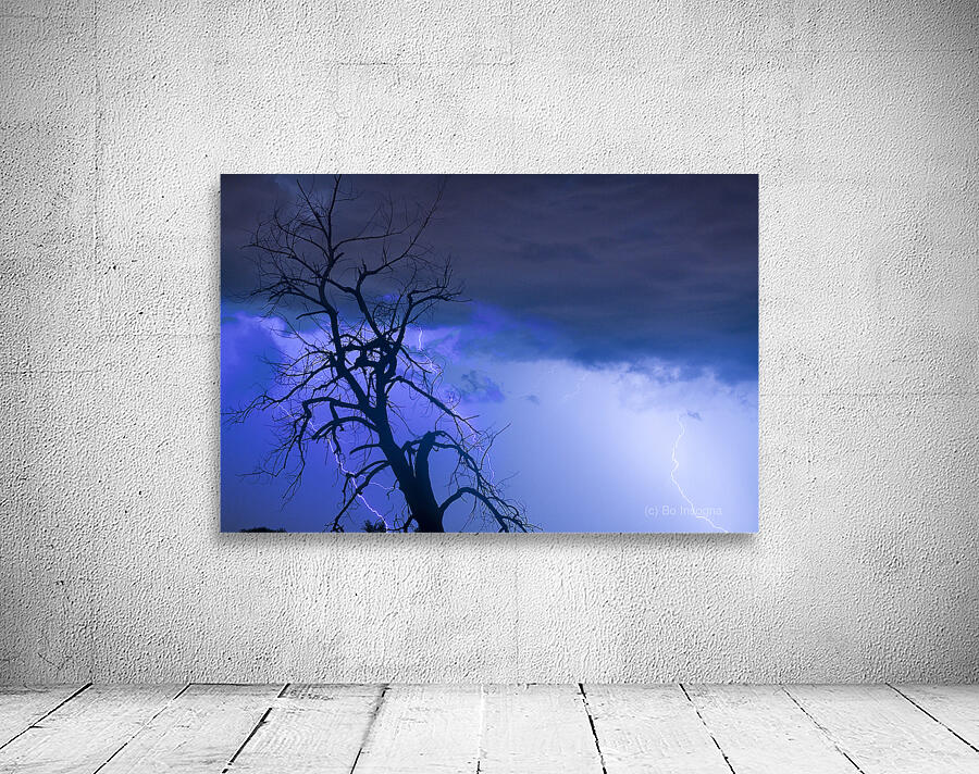 Lightning Tree Silhouette 38 Wall Preview