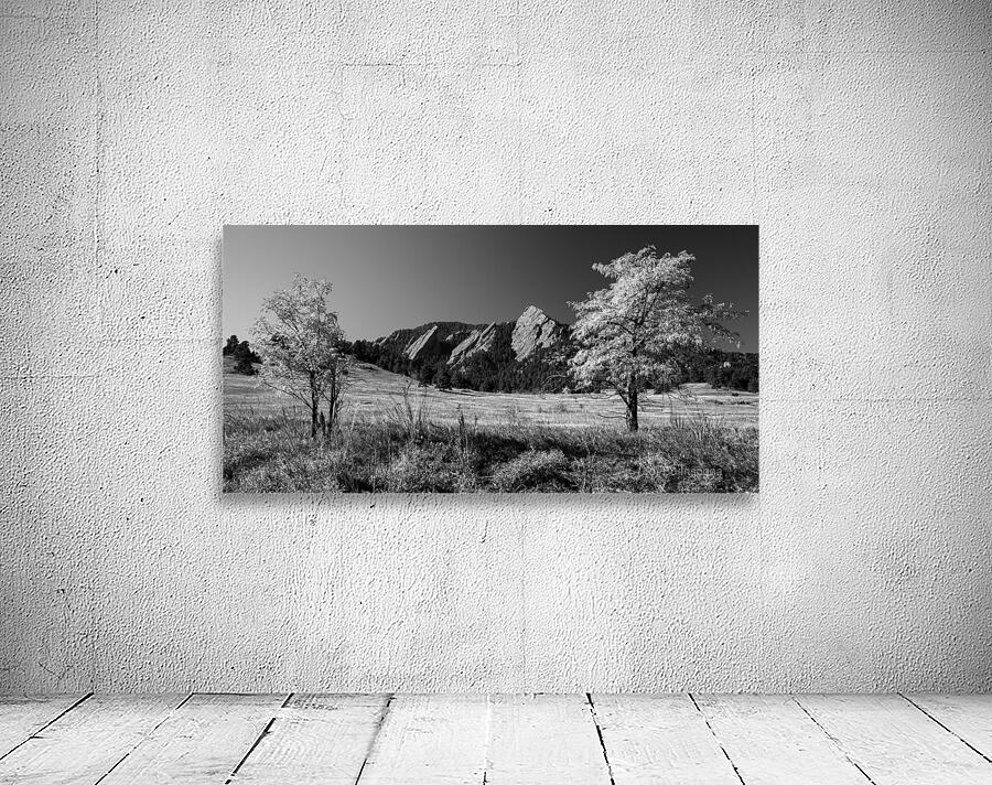 Boulder Colorado in Black and White Wall Preview