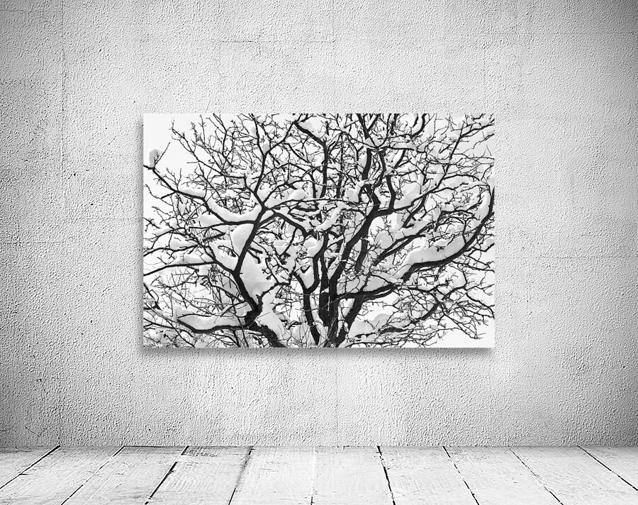 Snowy Tree Black and White Wall Preview