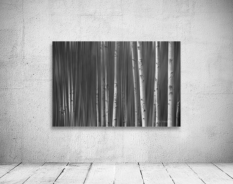 Somewhere Along the Road Dreaming Black and White Wall Preview