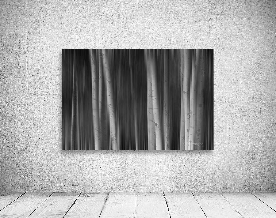 Autumn Aspen Trees Dreaming BW Wall Preview
