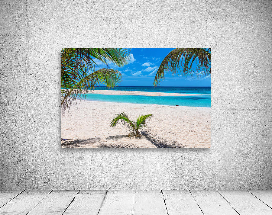 Tropical White Sand Beaches Vacation View Wall Preview