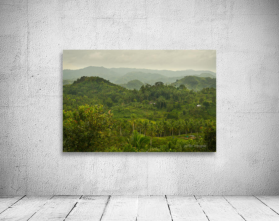 Verdant Tapestry of Tuburan Wall Preview