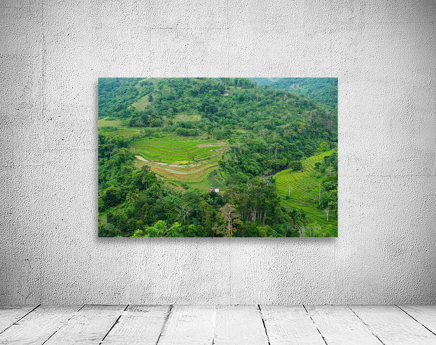 Mountain Rice Fields of Negros Island Emerald Tranquility Wall Preview