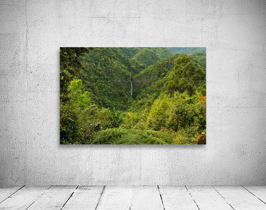 Emerald Veil of Negros Wall Preview