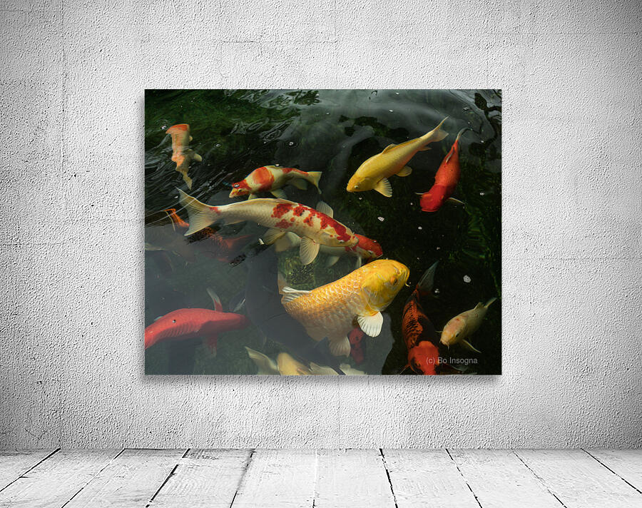 Koi Dance Twilight Wall Preview