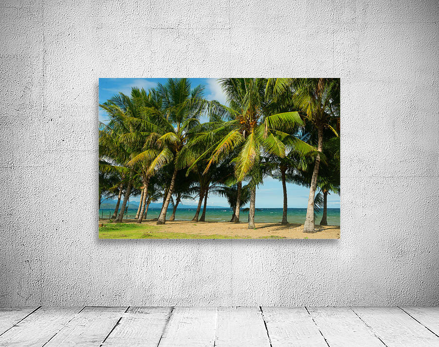 Stunning Palm Trees Swaying on the Shores of Negros Oriental Wall Preview