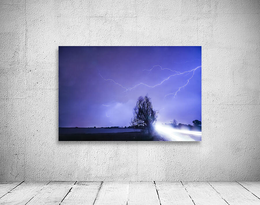 Ghost Rider Wall Preview