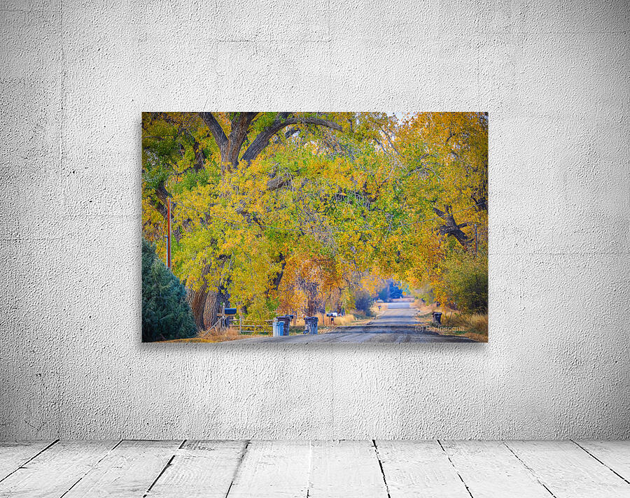 Awesome Country Road Wall Preview