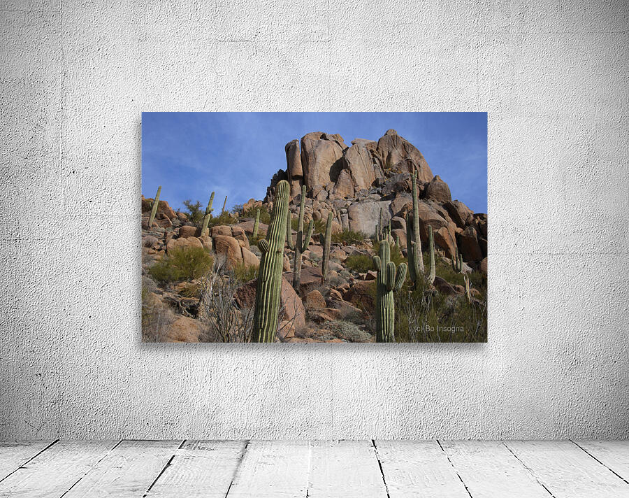 Scenic with Big Boulders Towering Giants of the Sonoran Desert Wall Preview