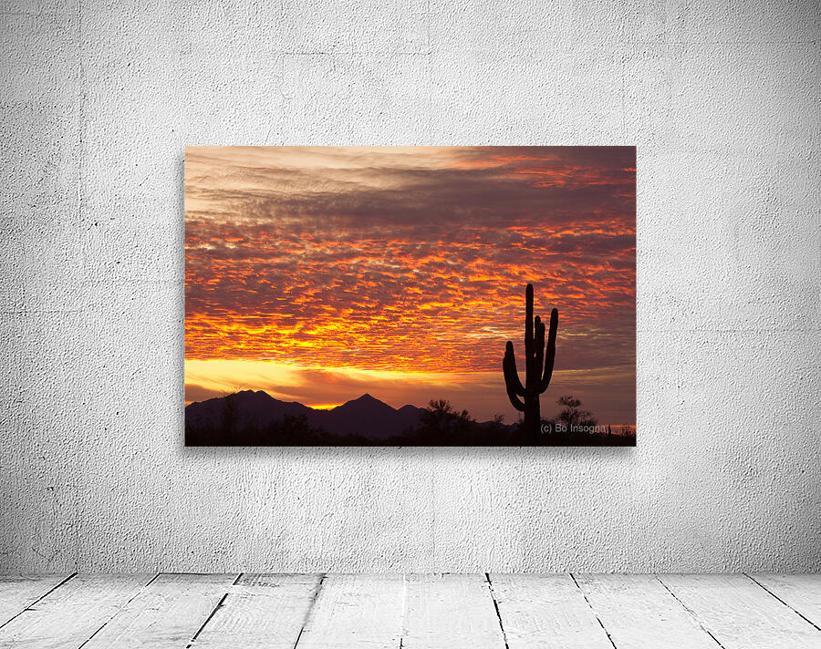 Morning Blaze Over Desert  Saguaro Giants in Arizona Wall Preview