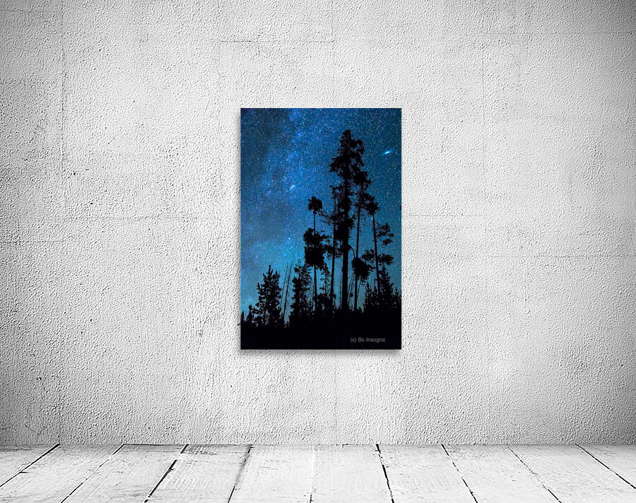 Pinnacle Of The Forest  Wall Preview