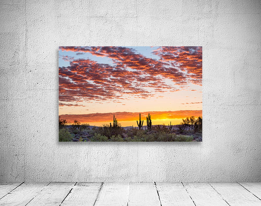 Colorful Sonoran Desert Sunrise Wall Preview