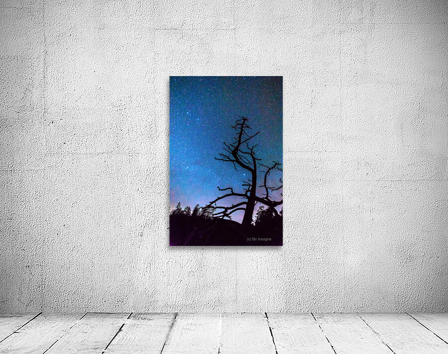 Starry Night Sky with Silhouette Tree Wall Preview