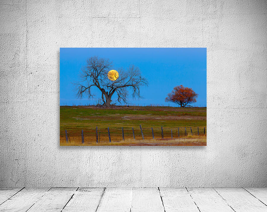 Supermoons Gilded Ascent A Celestial Masterpiece Wall Preview