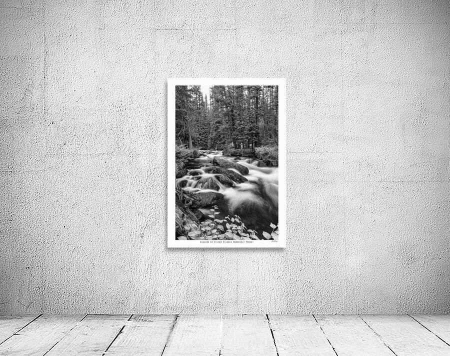 Cascade of Silver Silence Roosevelt Forest Wall Preview