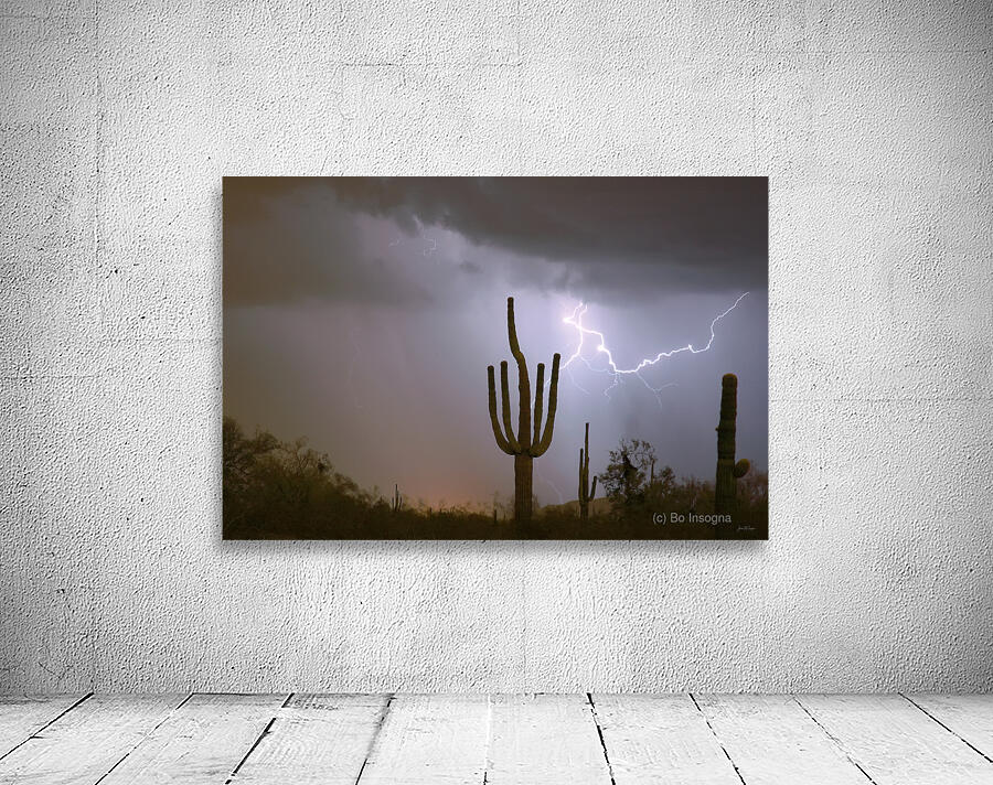 Desert Monsoon Lightning Saguaro Cactus Storm Photography Wall Preview