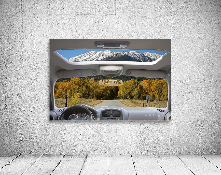 Colorado Road Trip View Snowy Peaks Golden Aspen Wall Preview